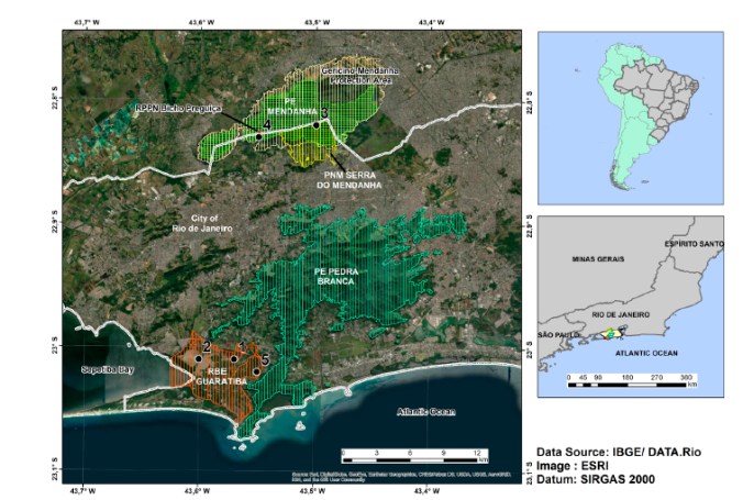 registros de onça-parda