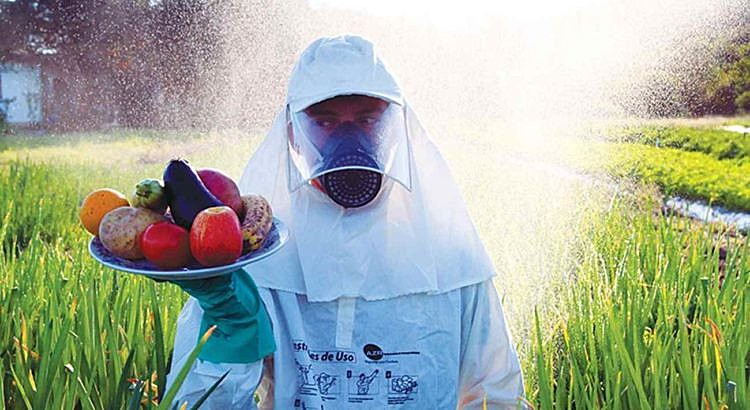 agrotoxicos comida