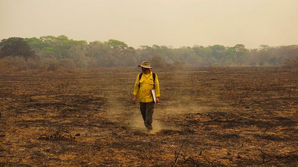 fogo pantanal