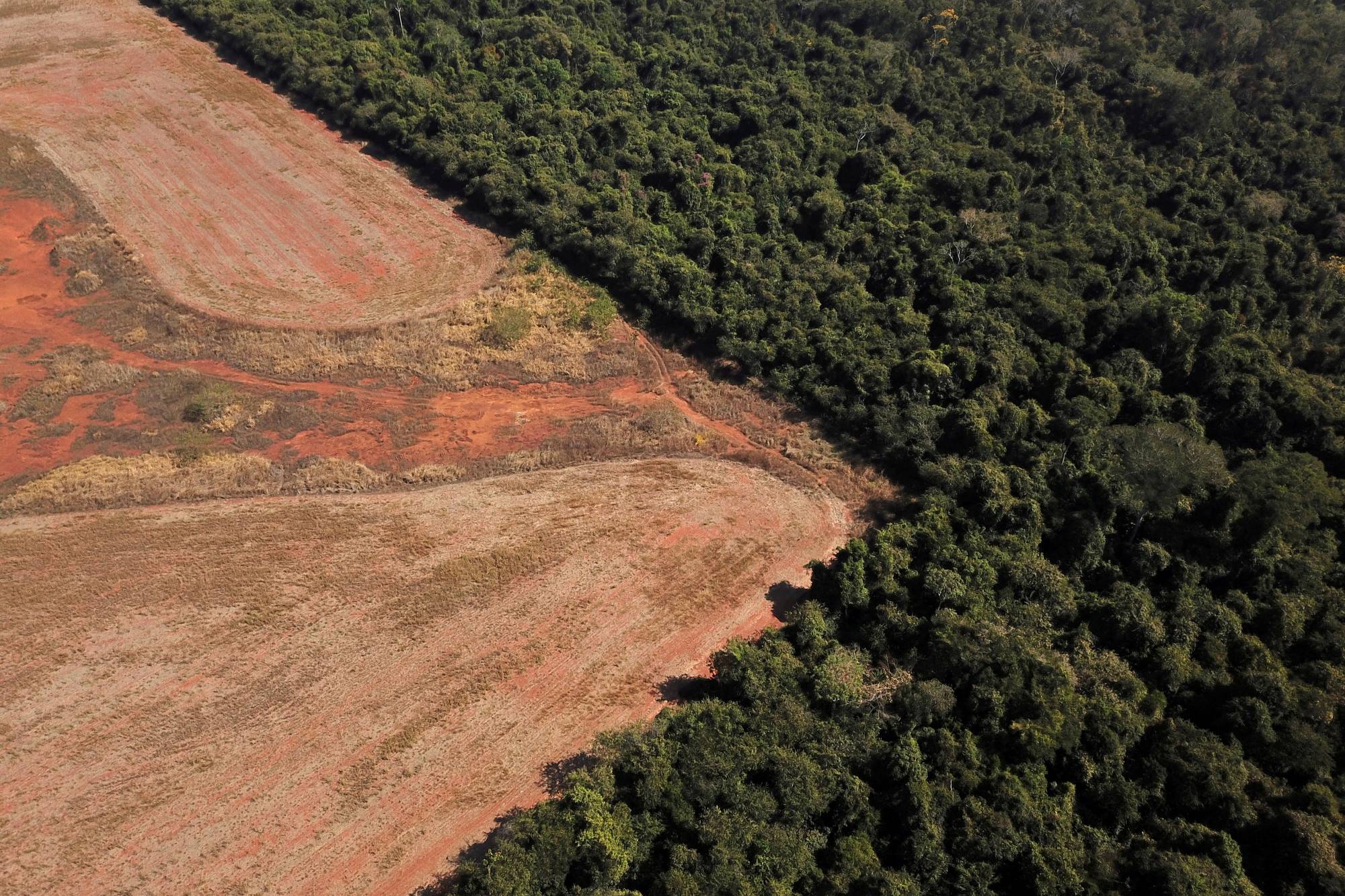 FILE PHOTO: Scientists from the State University of Mato Grosso identify signs of climate change on the border between Amazonia and Cerrado