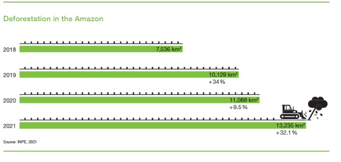 dersmatamento amazônia