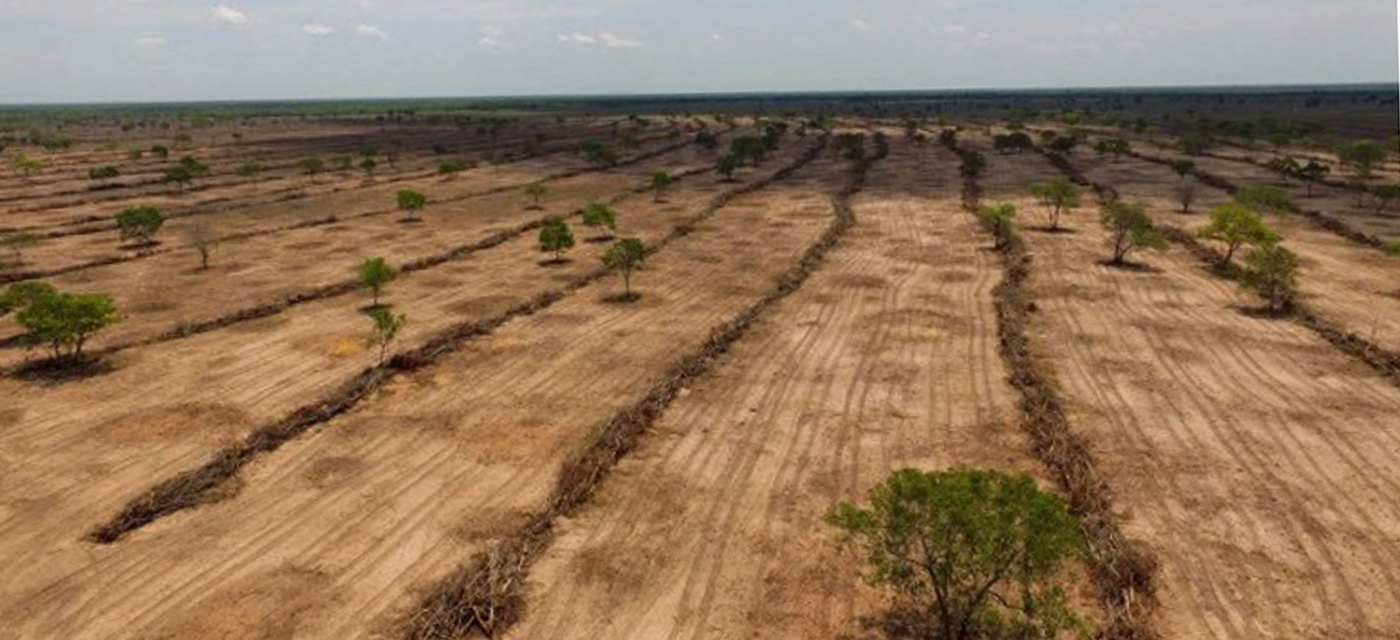 Desmatamento-no-Cerrado
