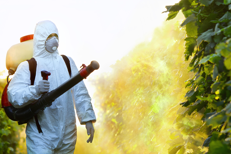 Man wearing white suit and protective mask spraying plants