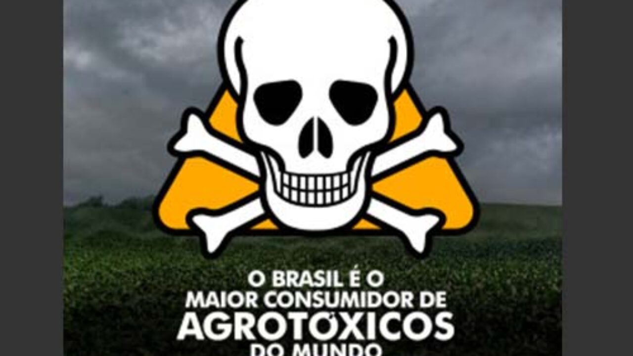 brasil agro