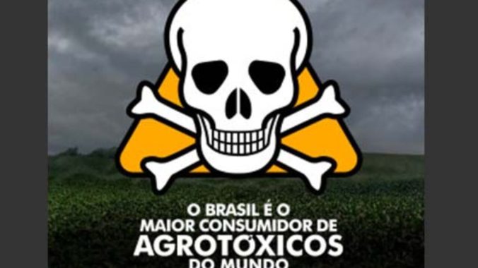 brasil agro