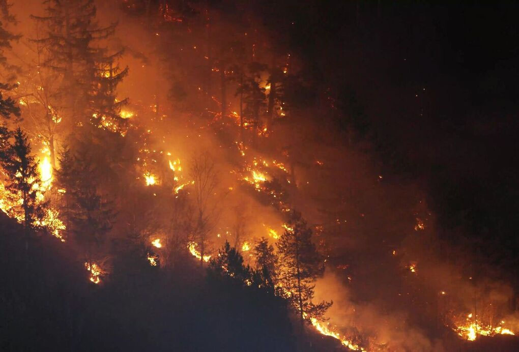 incendios florestais