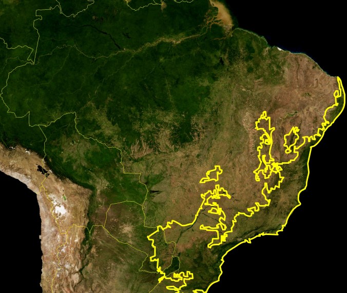 Atlantic_Forest_WWF-1