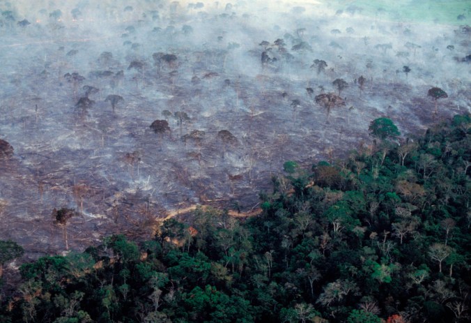 deforestation amazon