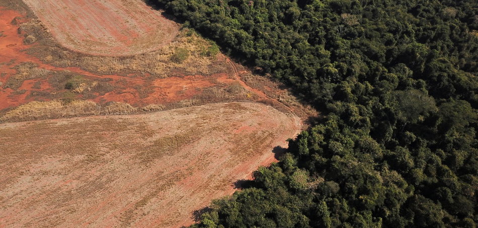 desmatamento amazonie