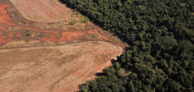 desmatamento amazonie
