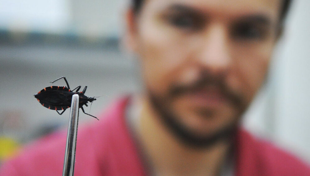 zoonosis-Brasil-996x567