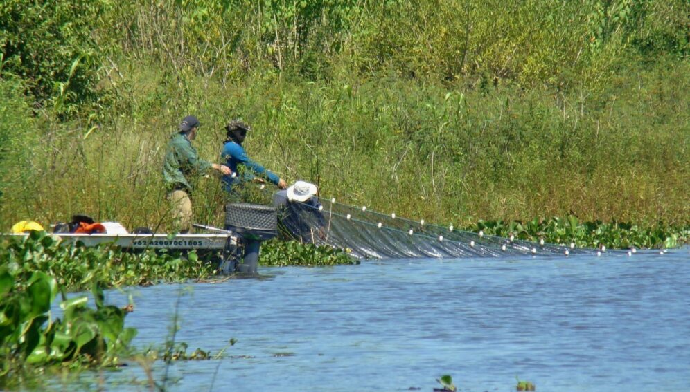 humedales-Brasil-2-996x567