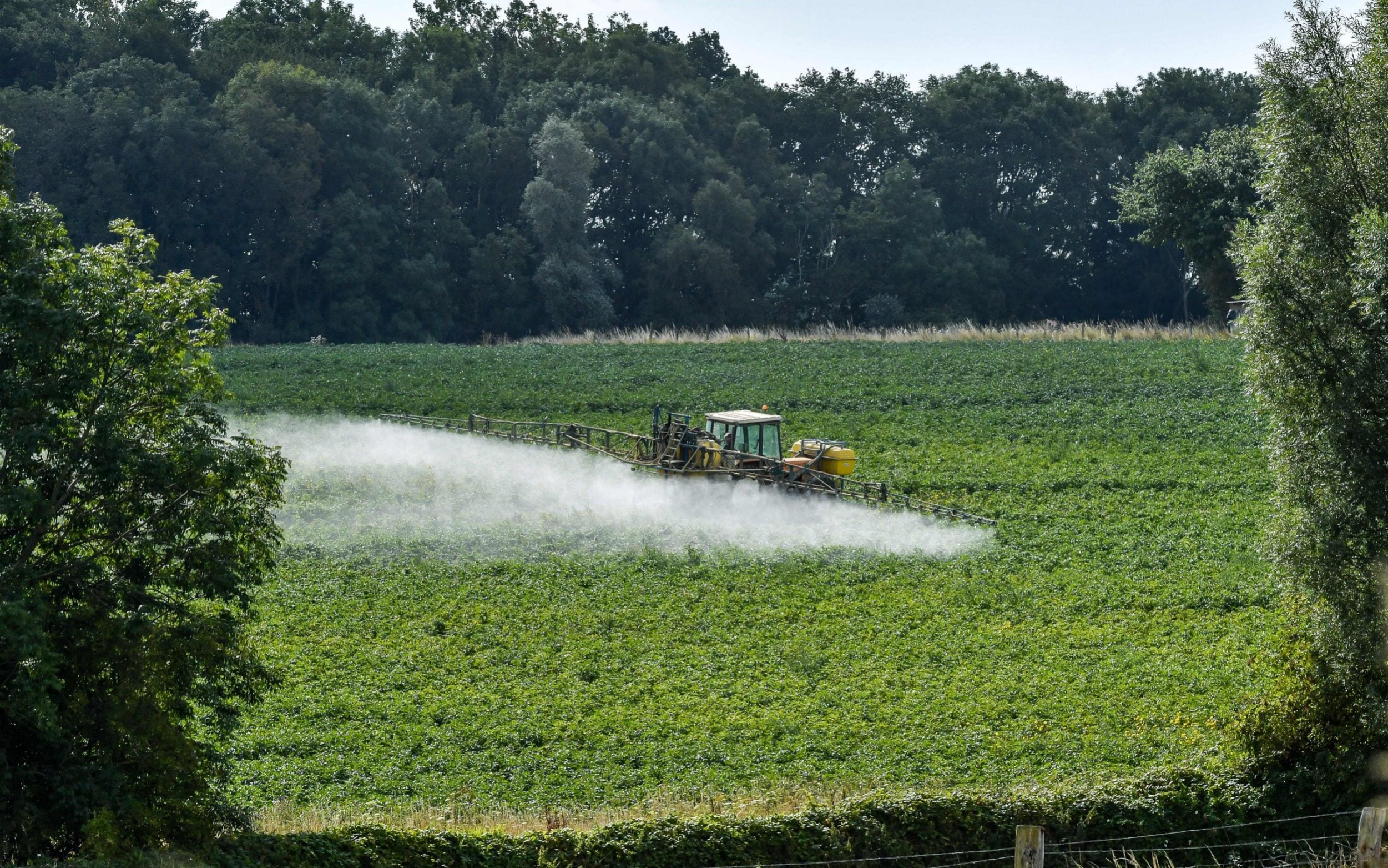 banned pesticides eu