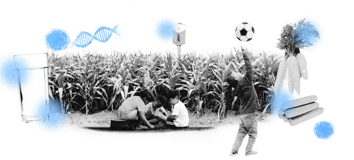 cancer infanto juvenil