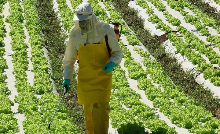 aplicacao_agrotoxicos_ascom_idaf