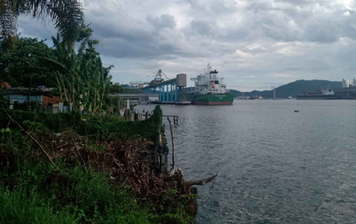 sitio-conceicaozinha