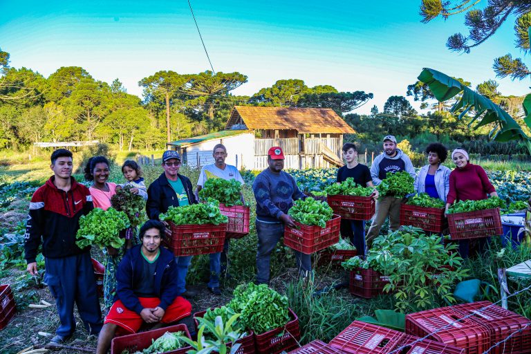 produção alimentos