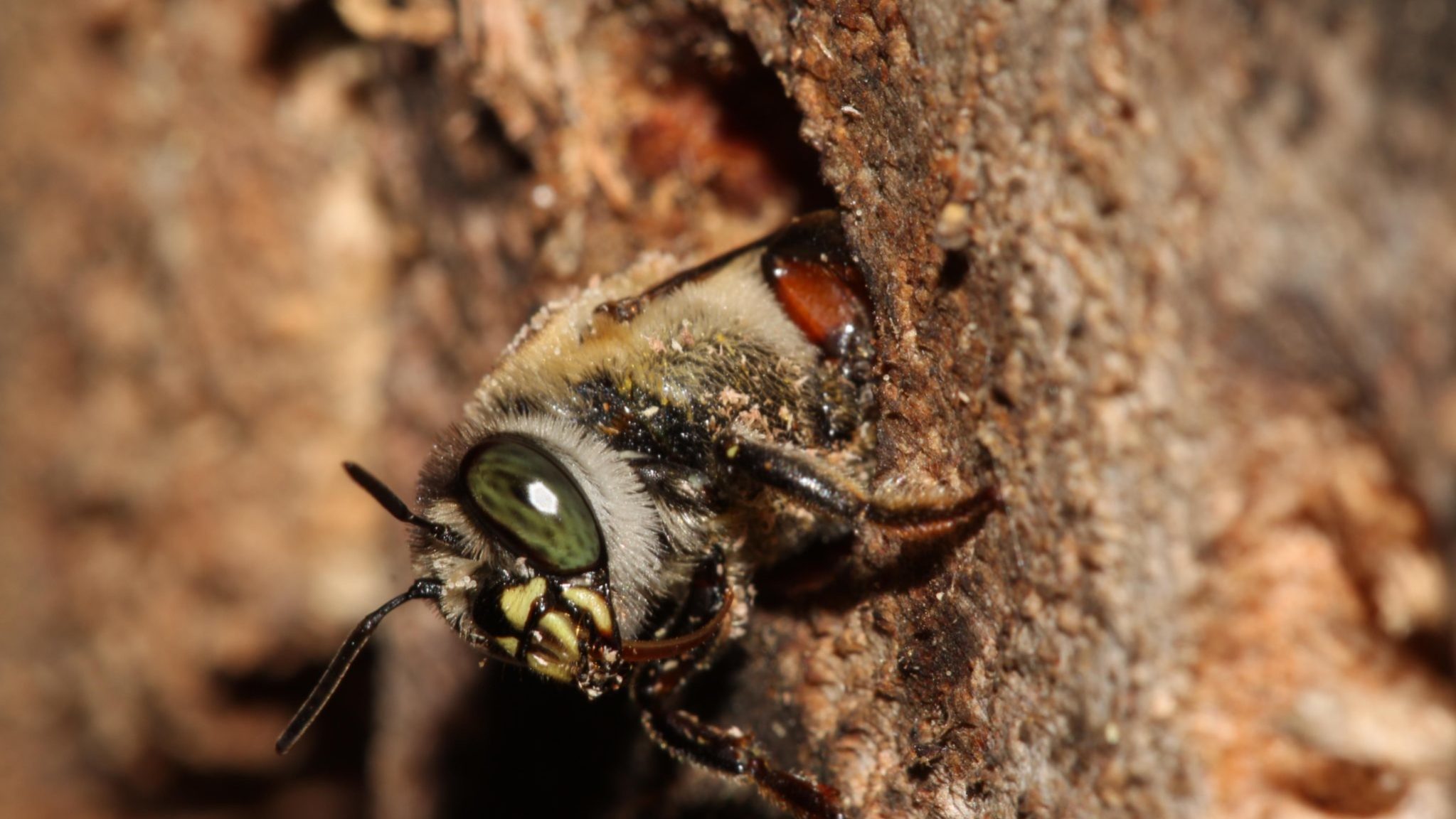 FCM00537_v02-2047x1152