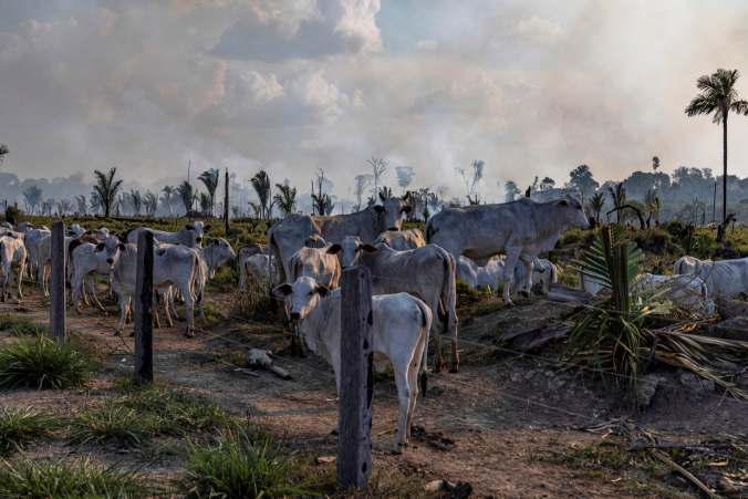 Fire Monitoring in the Amazon in Brazil in September, 2021
Monitoramento de Queimadas na Amazônia em Setembro de 2021