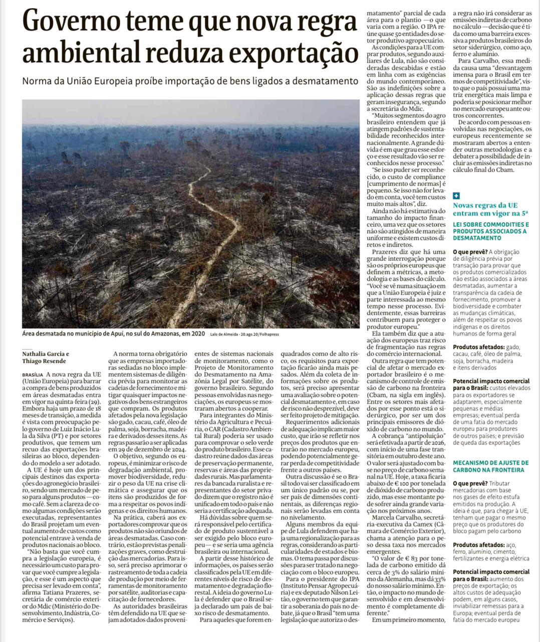 exportação desmatamento