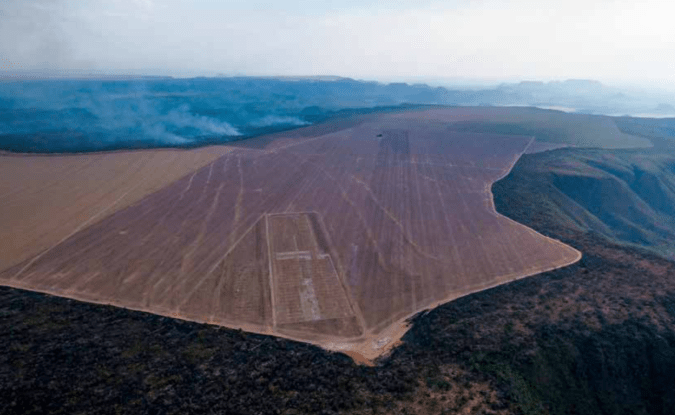 desmatamento cerrado