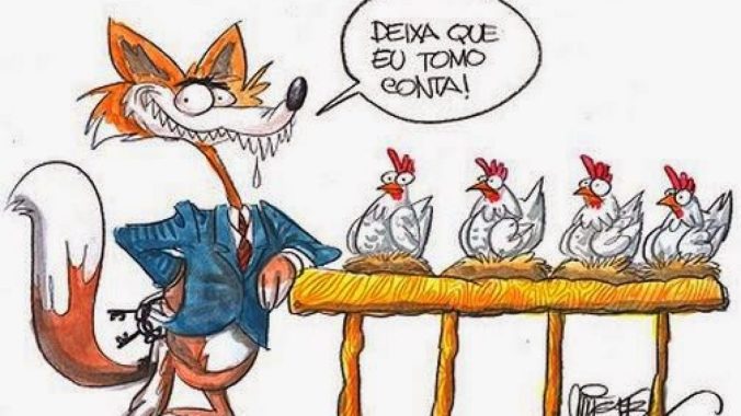 raposa-no-galinheiro-1