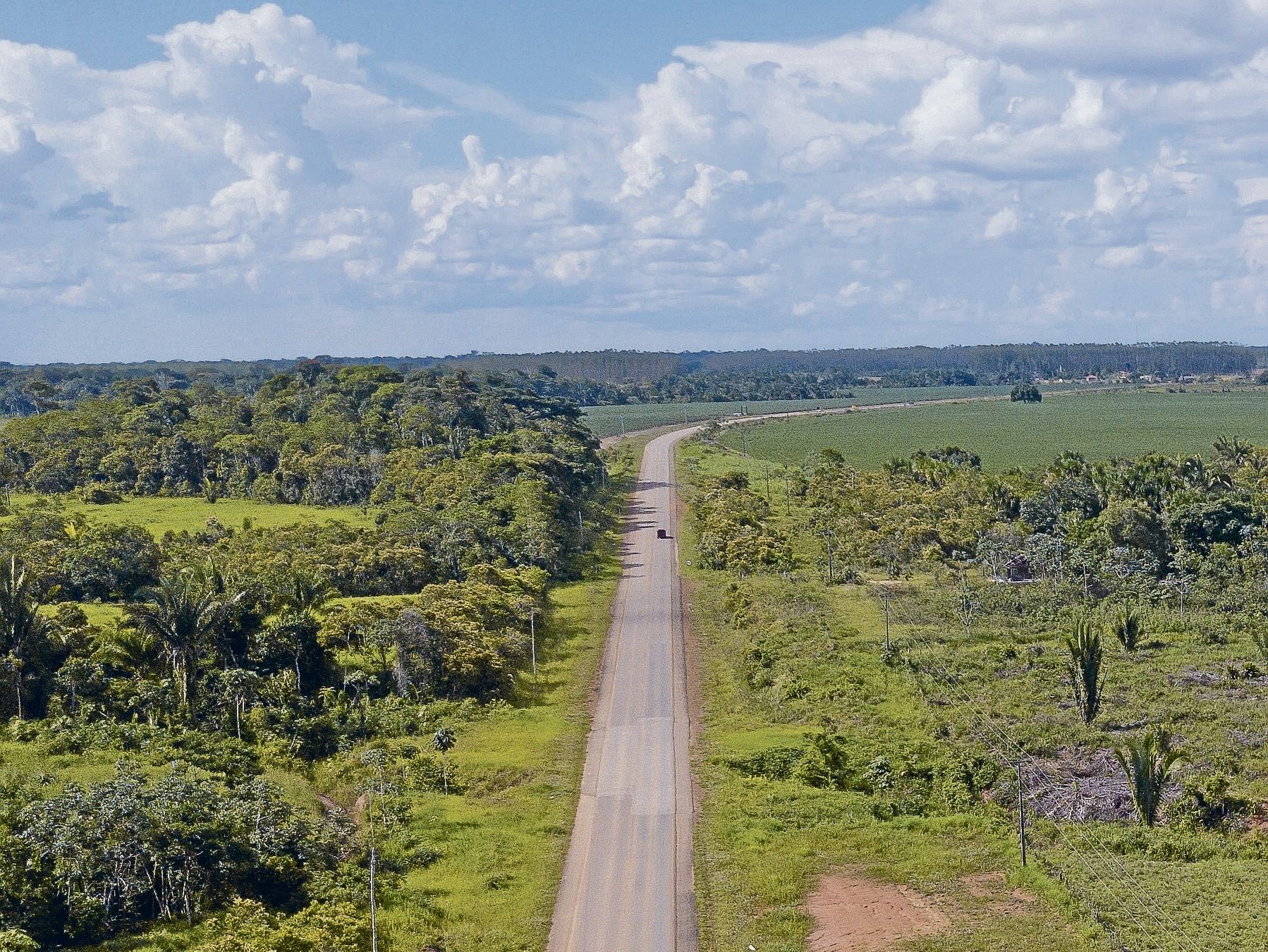 Aerial drone view of BR 319 road in Amazon rainforest landscape in the border of Amazonas and Rondônia state, Brazil. Concept of  ecology, conservation, deforestation, environment, global warming.