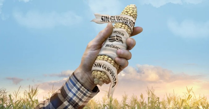 mexico sin glifosato