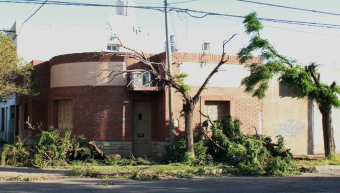 arboles-urbanos-996x567