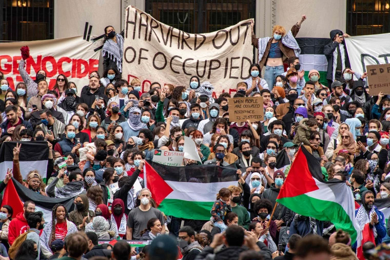harvard gaza