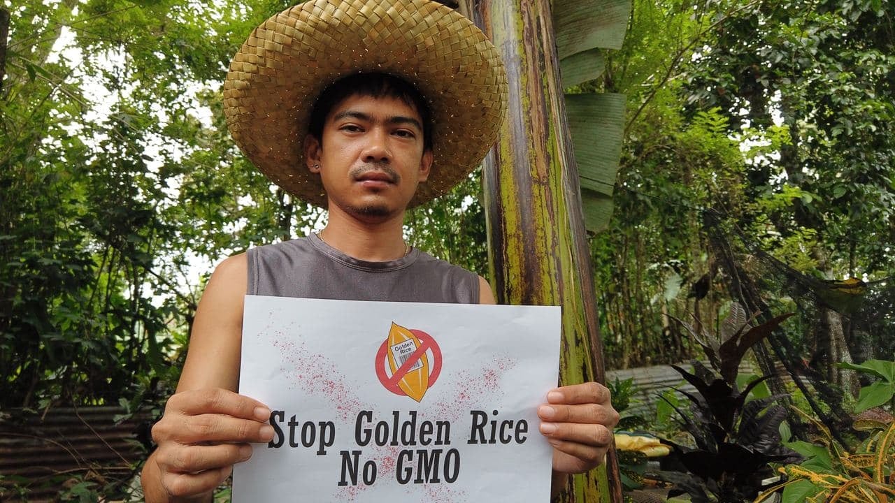 stop gmo