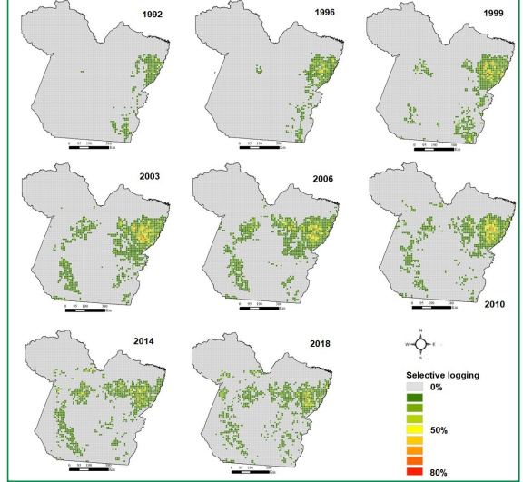 extração seletiva de madeira