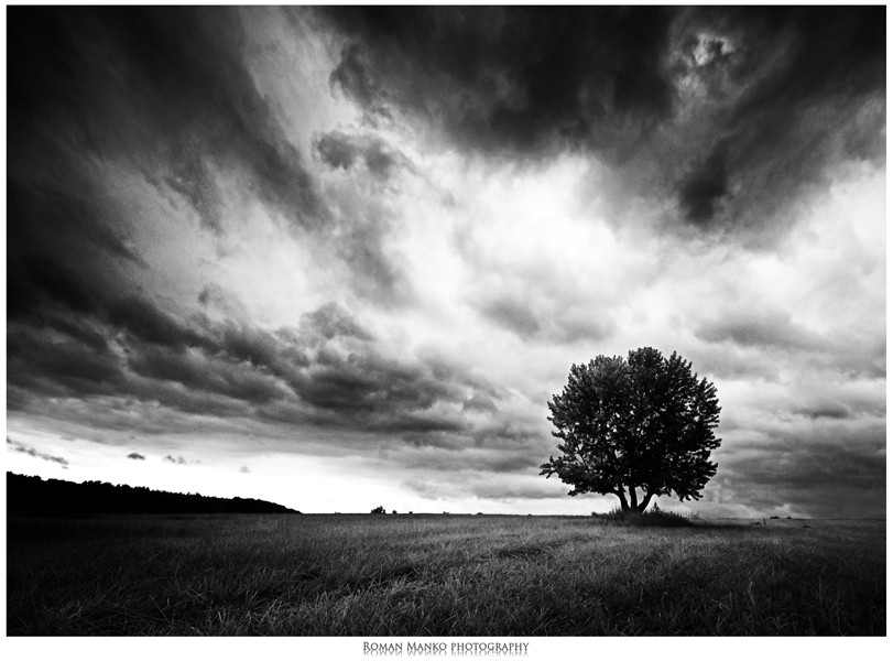 gray_day_4_by_manroms2