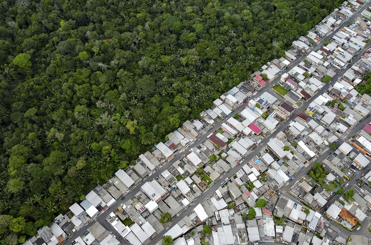 TOPSHOT-BRAZIL-WORLD ENVIRONMENT DAY-ADOLPHO DUCKE-RESERVE