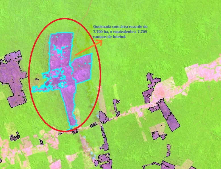 IMG-20240821-WA0025 (1)