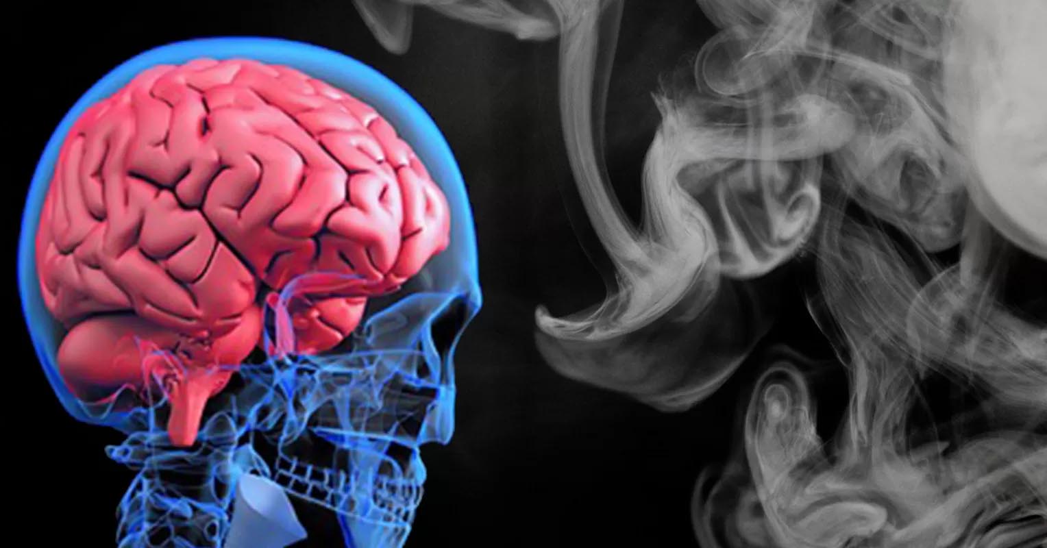 cérebro poluição