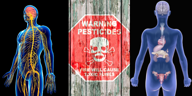 dereguladores endocrinos