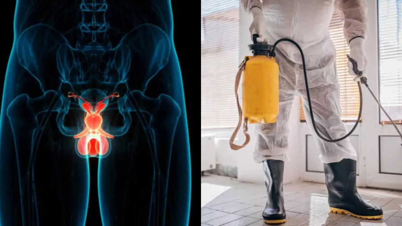 prostate cancer pesticides